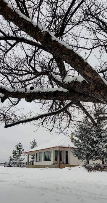 Kavicshaz Villa Vlăhița Exterior foto
